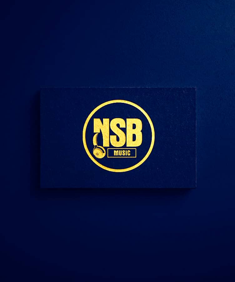 NSB | Music and Biography - LuoTunes.Com