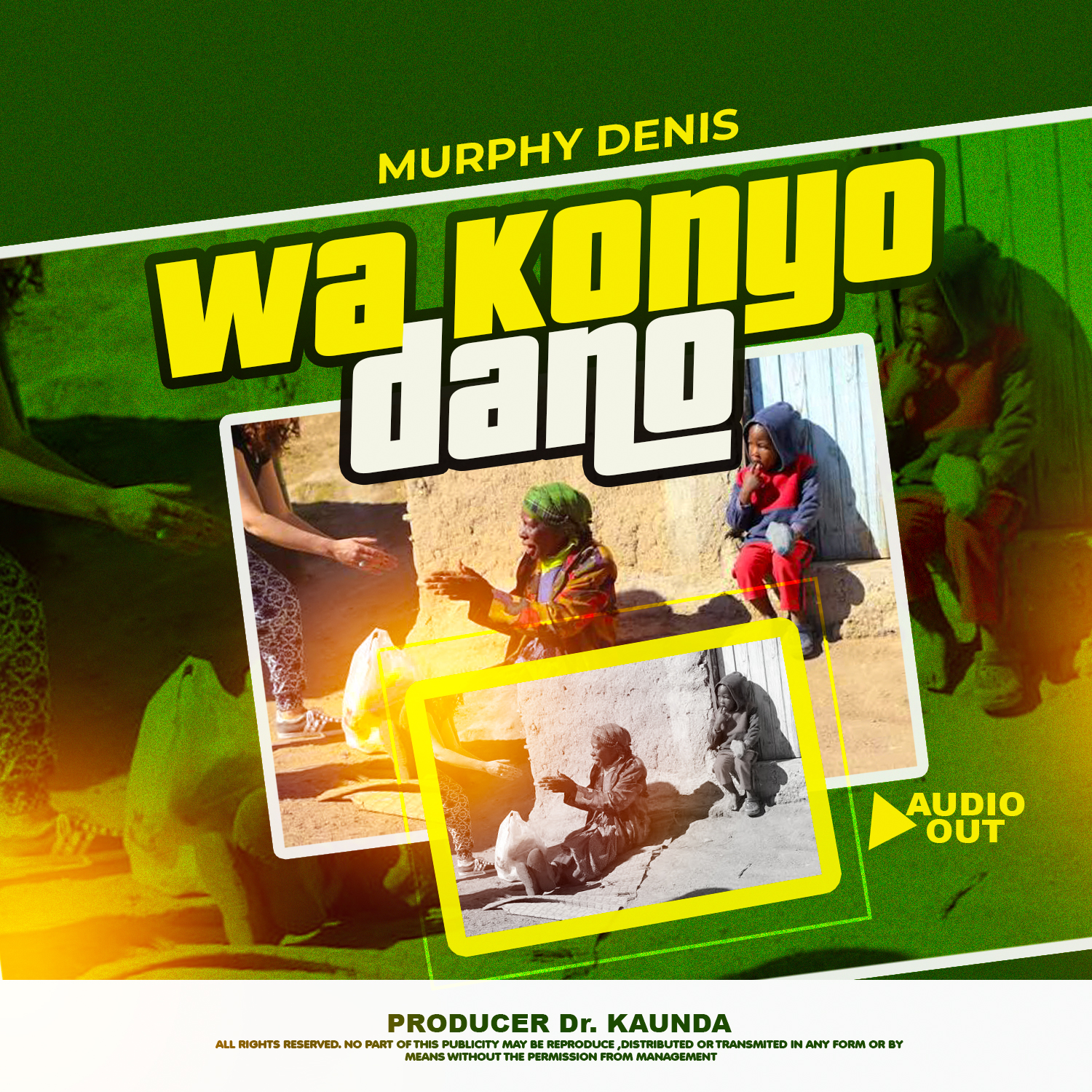 Wakonyo Dano