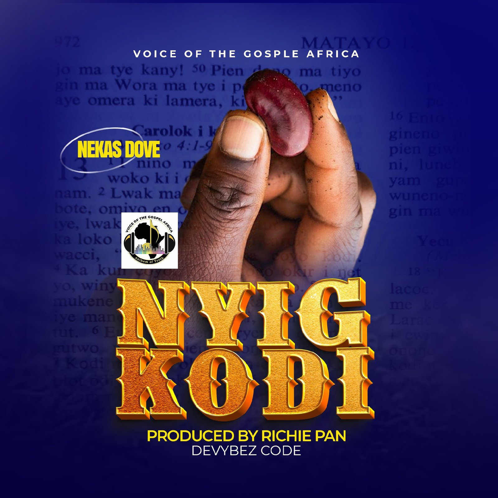 Nyig Kodi
