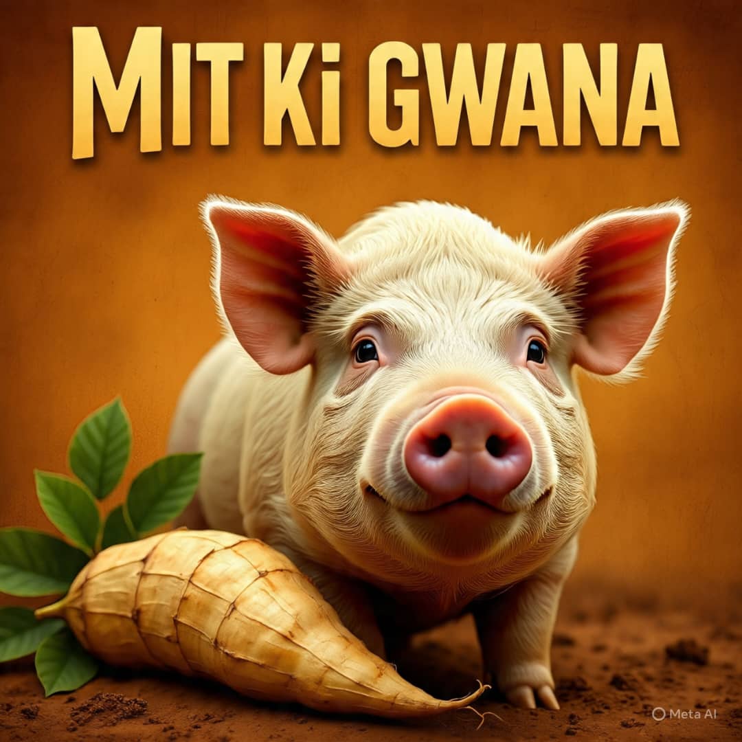 Mit Ki Gwana