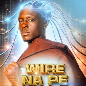 Wire Na Pe