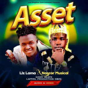 Asset