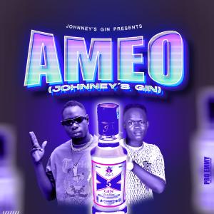 Ameo ( Johnny's Gin)