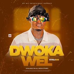 Dwoka Wel