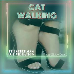 Cat Walking