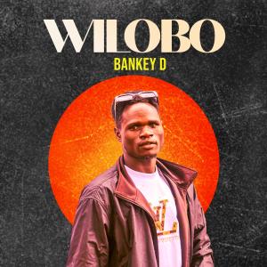 Wilobo